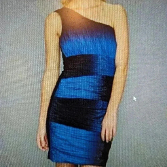 max and cleo dress women's size 4 NWT msrp $168.00 "KAREN" color strlitbluec - Picture 5 of 5